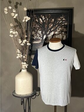 Lacoste Sport French Sporting Spirit Colorblock Tricolor Crocodile T-Shirt